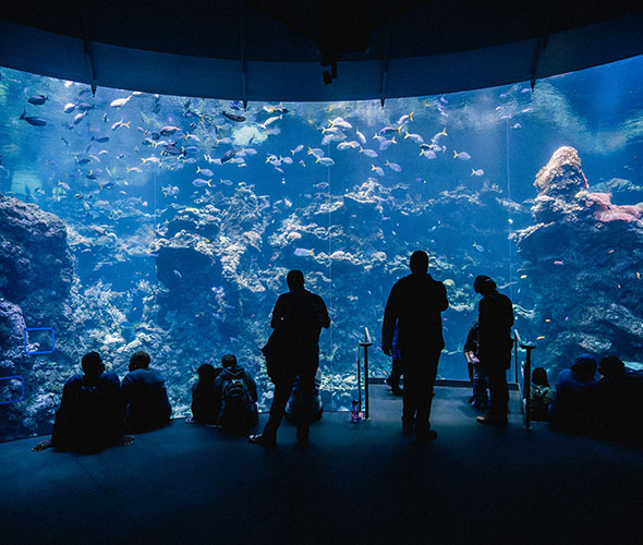 aquariumdemontreal-admission