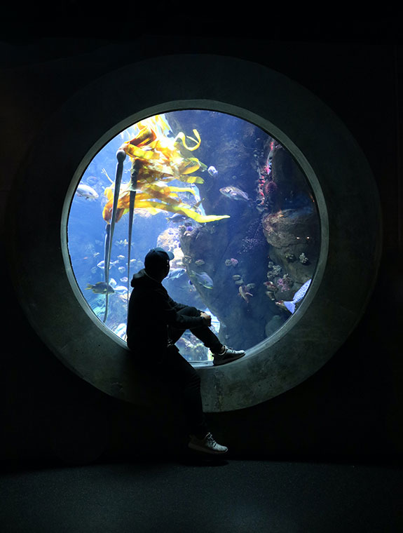 conservation3-developpementdurable-aquariumdemontreal